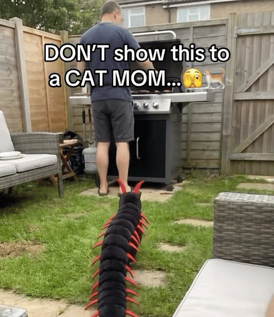 CentiKitty™ Halloween Costume