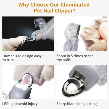SYNC LED Pet Nail Clippers with Light Cat Dog Cleaning Scissors Nail Toeclaw Cutter Scissors Pet Luminous Nail Clippers Pet Supply