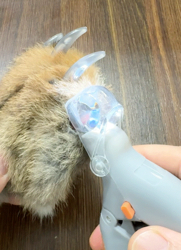 PreciseClip Pet Toe nail Trimmer for Cats & Dogs