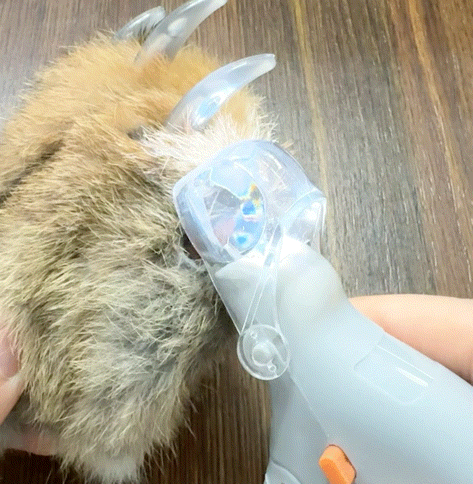 PawVision Pro LED Clippers