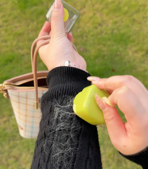 SilkRoll™ 2 Pack Reusable lint rollers