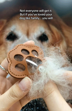 FurEver Paw Fur Keychain