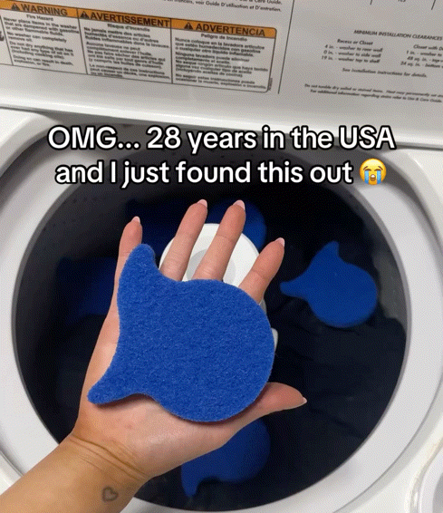 Fishy 4 Pack laundry pet hair remover