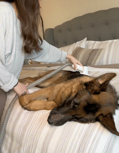 PawSilk 6-1 Pet Grooming Vacuum