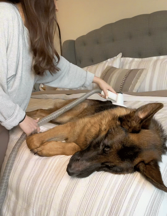 PawSilk 6-1 Pet Grooming Vacuum