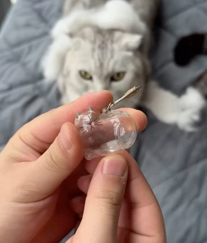 Forever Paw Pet Hair Keepsake Capsule Keychain 6 Pack