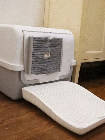 Pawthentics™ Self-Grooming Enclosed Cat Litter Box