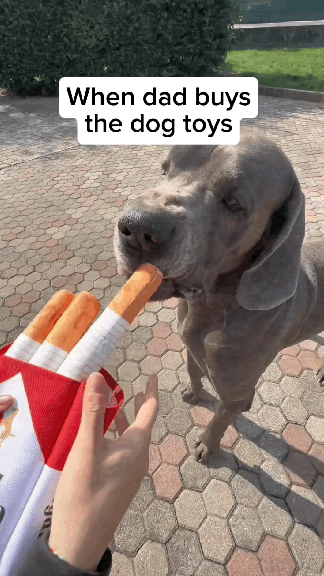 Ciggy Squeaky cigarette dogs toy Plush