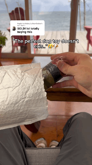 Squeaky Joint  Dog Toy for any Size Dogs