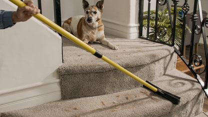 Broomer Pet Hair Removing Broom
