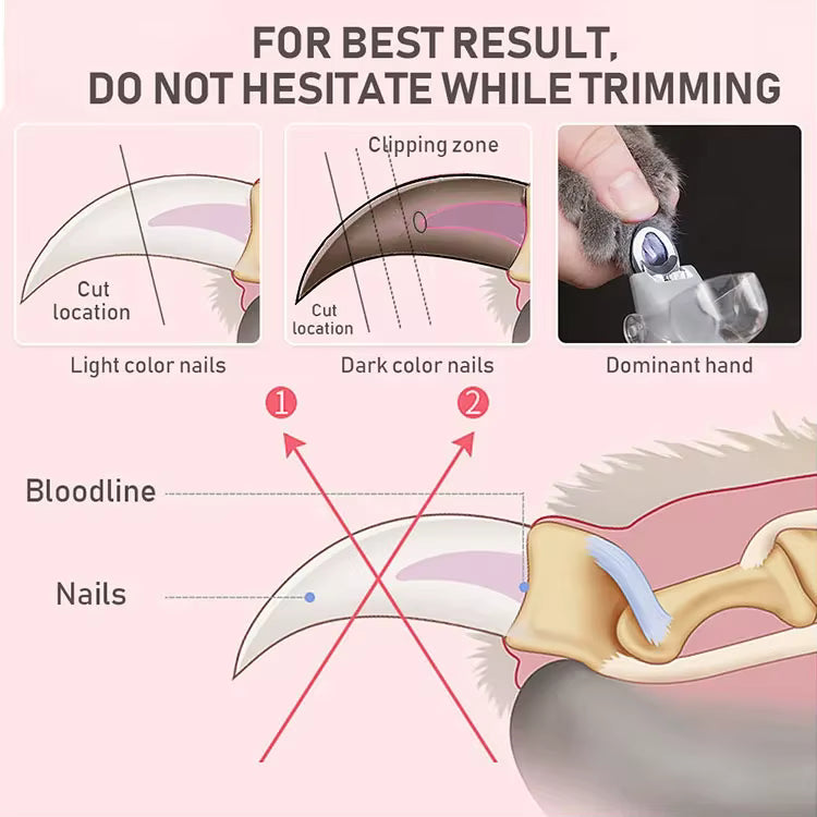 ProMag Precise LED Magnifying Nail Clippers